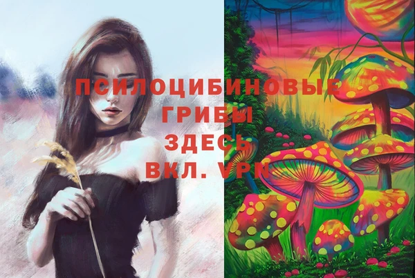 твердый Нефтекумск